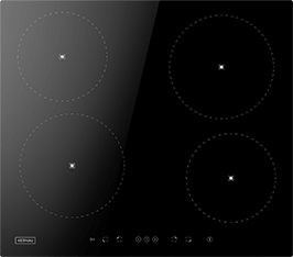 Induktionsfeld Reparatur Detmold